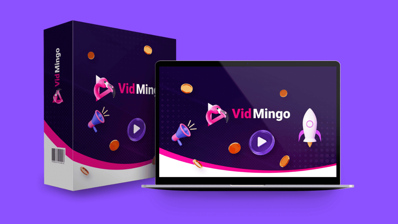 Vidmingo Review