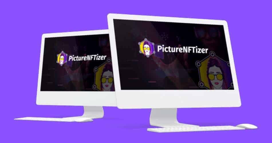 Picture NFTizer Review