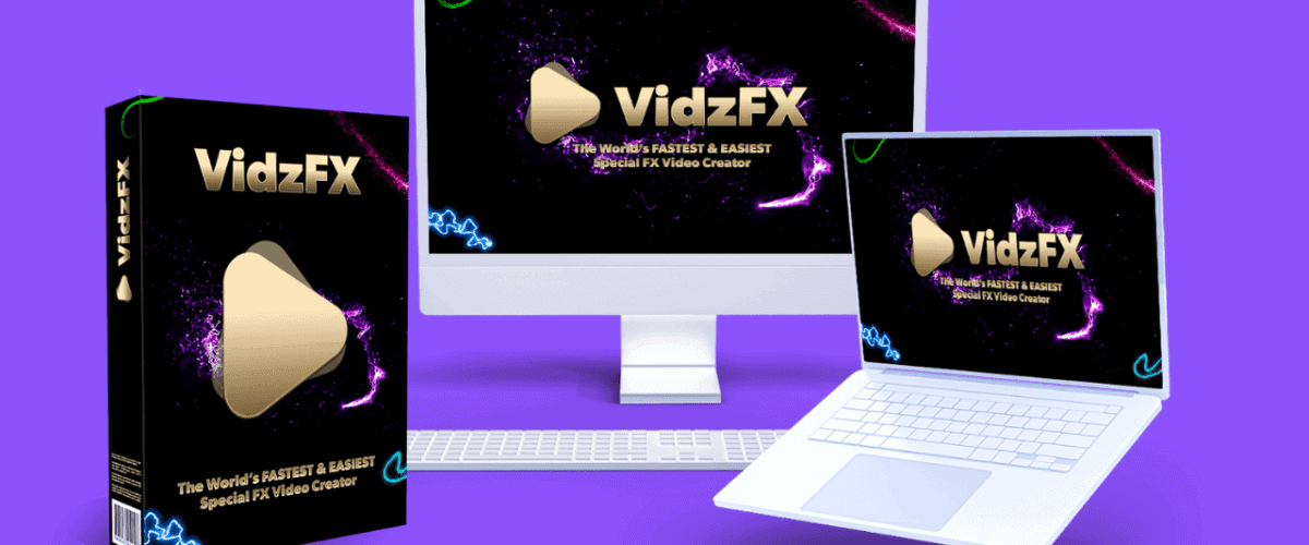 VidzFX Review